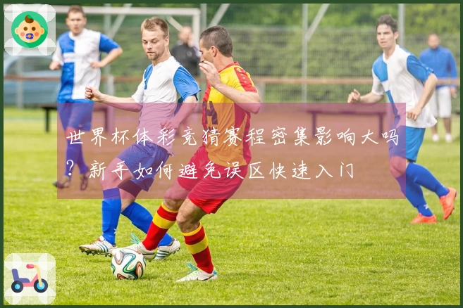世界杯体彩竞猜赛程密集影响大吗？新手如何避免误区快速入门
